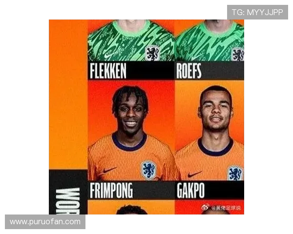 荷兰媒体:弗林蓬能否参加11月荷兰队比赛尚无确定答案 缺阵可能超5场 荷兰媒体:弗林蓬能否参加11月荷兰队比赛尚无确定答案 缺阵可能超5场